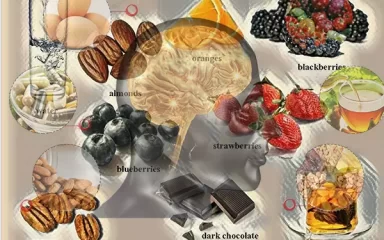 خوردنی ها و ویتامین های موثر در تقویت حافظه