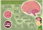 Types of memory and ways to strengthen memory
