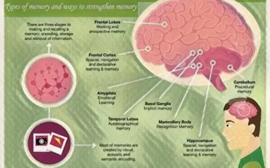 Types of memory and ways to strengthen memory